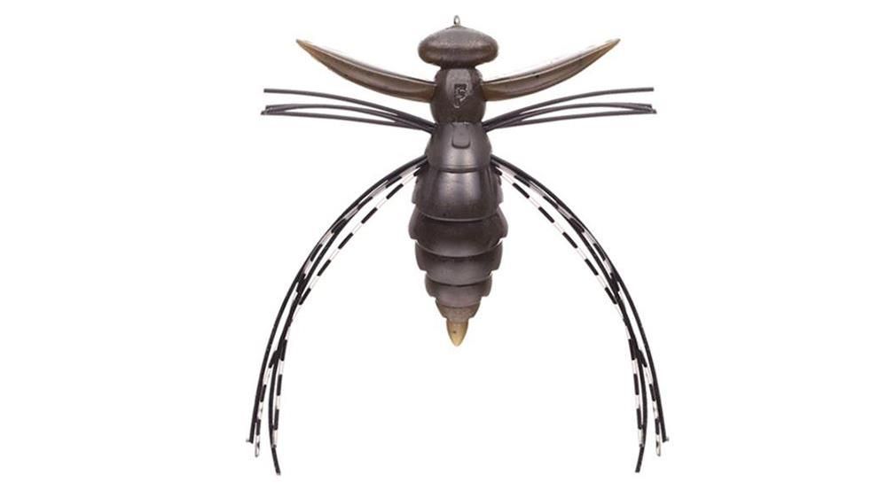 Evergreen Fact Gizmo