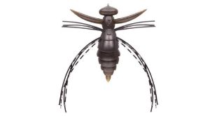 Evergreen Fact Gizmo