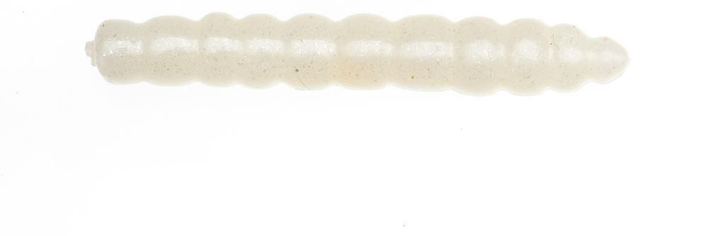 Game by Laboratorio Camola Bioillogica 2.0 PK