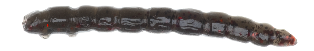 Game by Laboratorio Camola Bioillogica