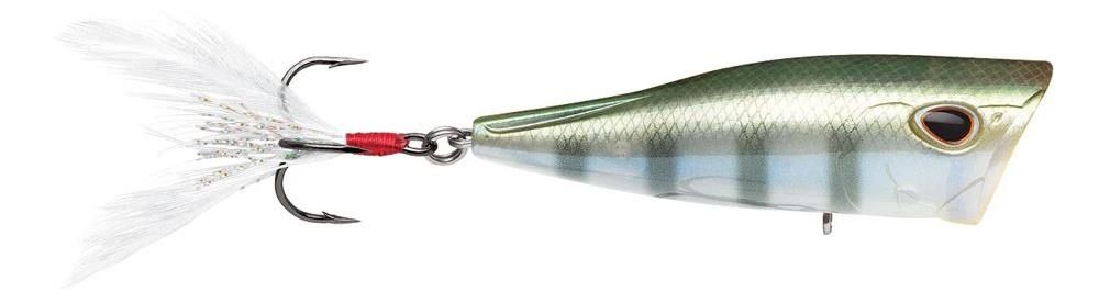 Storm Arashi Cover Pop