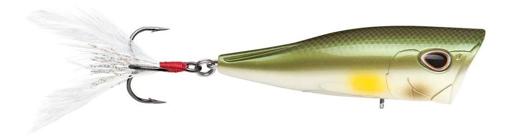 Storm Arashi Cover Pop