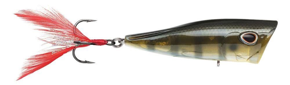 Storm Arashi Cover Pop