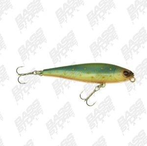 Topwater di colore Brook Trout del prodotto Lucky Craft Bevy Pencil di marca Lucky Craft