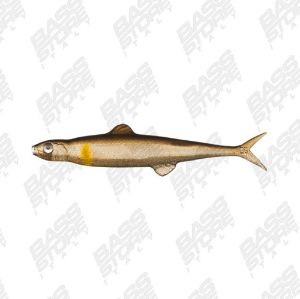 Evergreen Last Ace 75