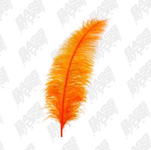 Lineaeffe Piume per Montature