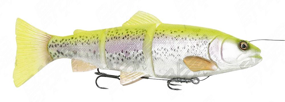 Savage Gear 4D Line Thru Trout