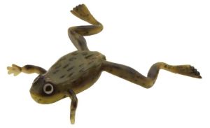 Terrestrial di colore #S-339 del prodotto Imakatsu Finesse Frog Mini  di marca Imakatsu