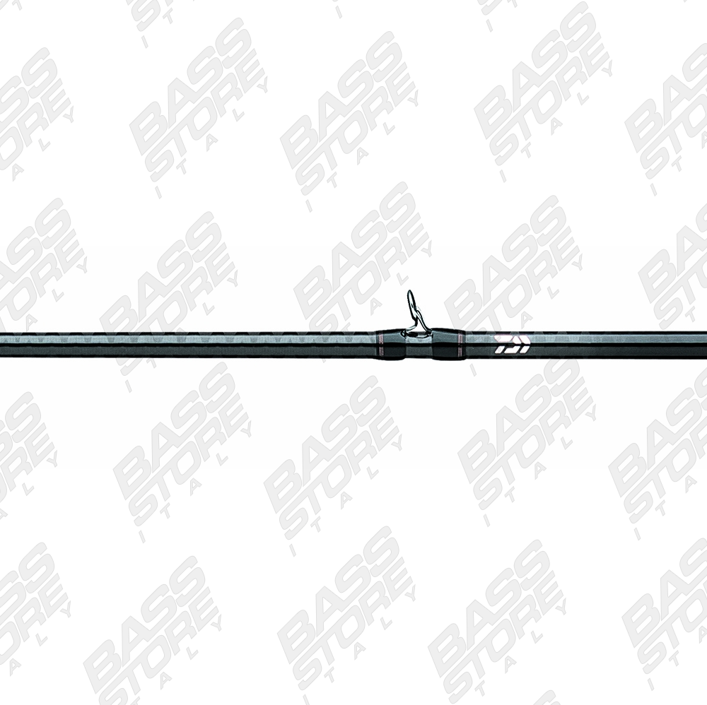 Daiwa Rebellion casting 