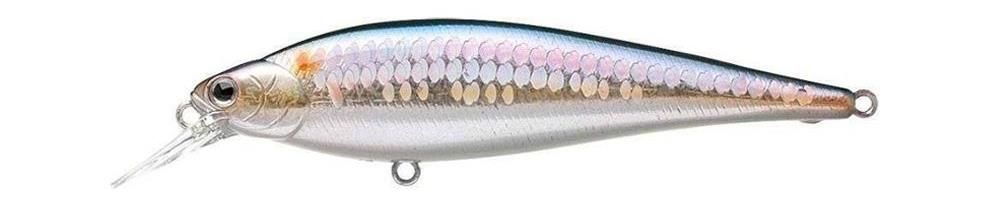 Lucky Craft Pointer 95