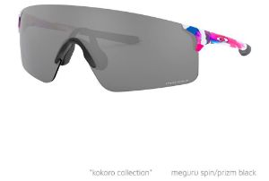 Oakley EVzero Blades