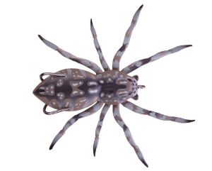 Lunkerhunt Phantom Spider