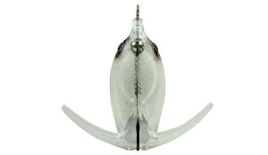 Deps Basirisky Hard Belly Limited 