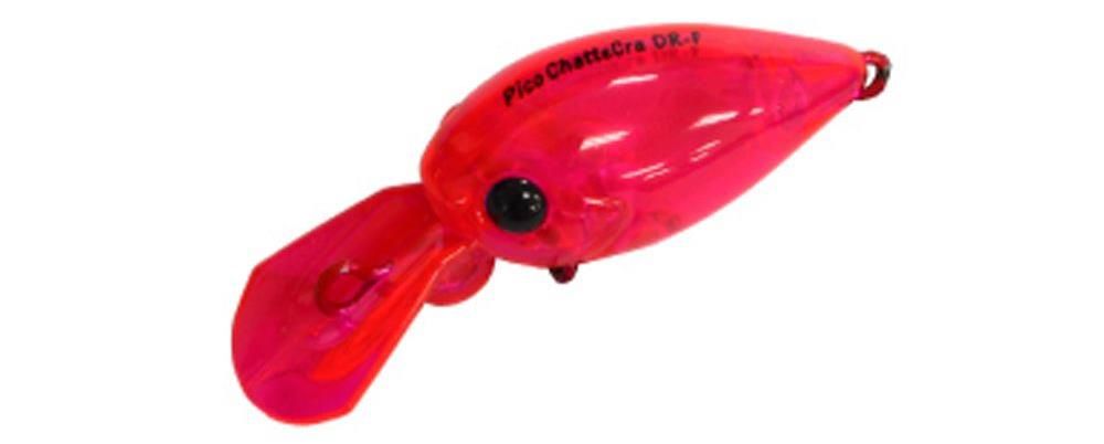 Daysprout Pico Chattecra