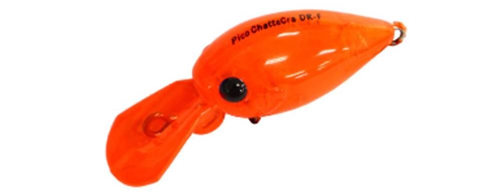 Daysprout Pico Chattecra