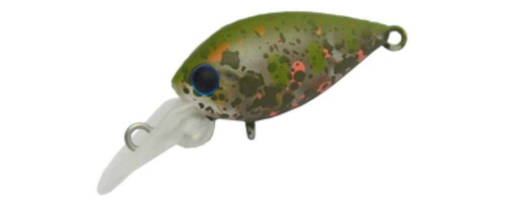 Daysprout Pico Chattecra