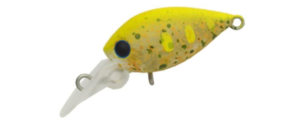 Daysprout Pico Chattecra