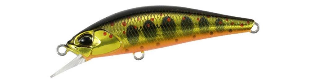 Duo SH Ryuki 50S Takumi