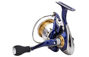 Daiwa TDR Match e feeder QD spinning