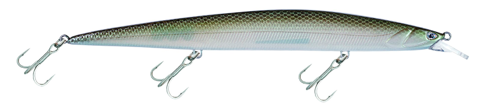 Molix Jugulo Jerk  LC