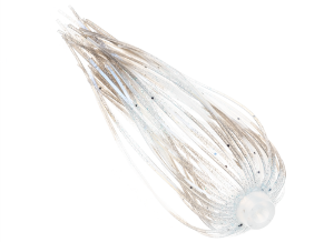 Legio Aurea Cirrus skirts