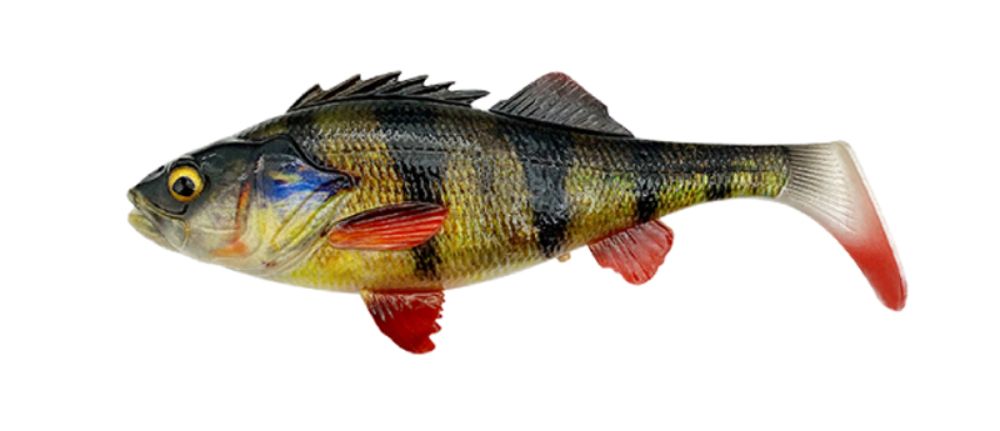 Swimbaits di colore Perch del prodotto Savage Gear 4D Perch Shad Bulk di marca Savage Gear
