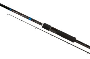 Shimano Bassterra Sea Bass spinning