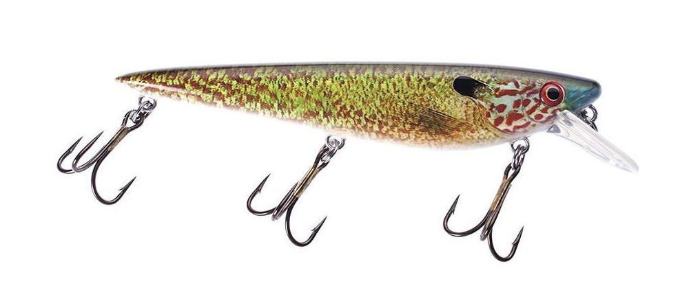 Musky Armor Krave Jr