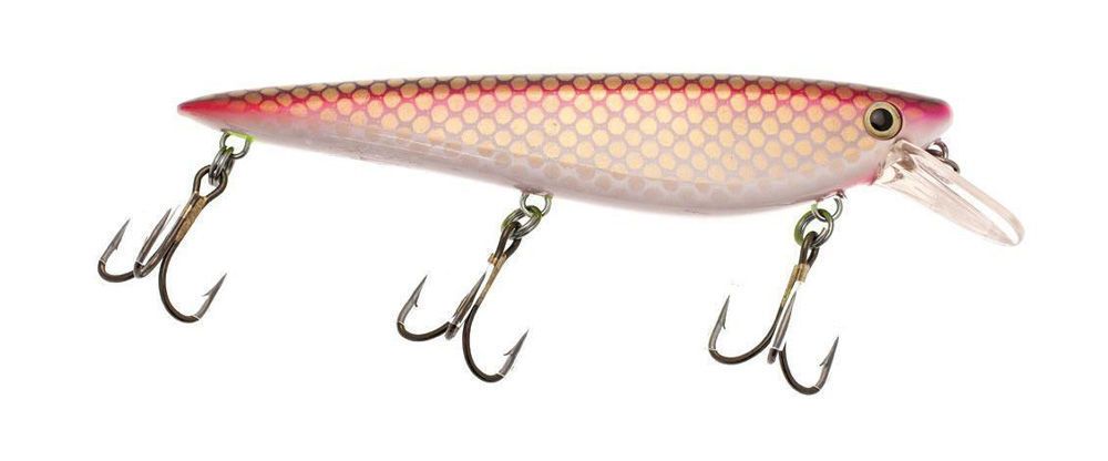 Musky Armor Krave Jr