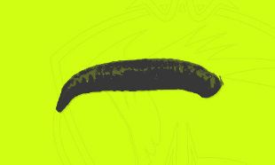 Immagine per la categoria Light Game Softbaits