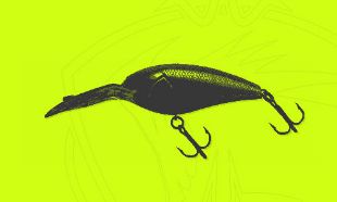 Immagine per la categoria Crankbaits