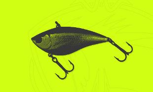 Immagine per la categoria Lipless