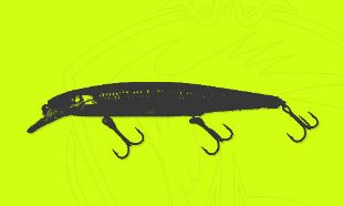 Immagine per la categoria Jerkbaits