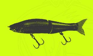 Immagine per la categoria Swimbait