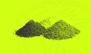 Immagine per la categoria Pasture Pesca al colpo