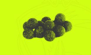 Immagine per la categoria Boiles