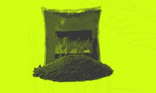 Immagine per la categoria Terre e Argille