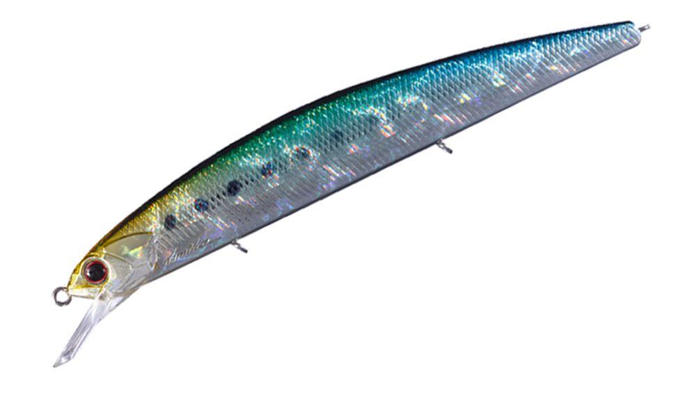 O.s.p. Rudra Saltwater