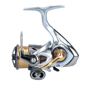 Daiwa Freams LT 21