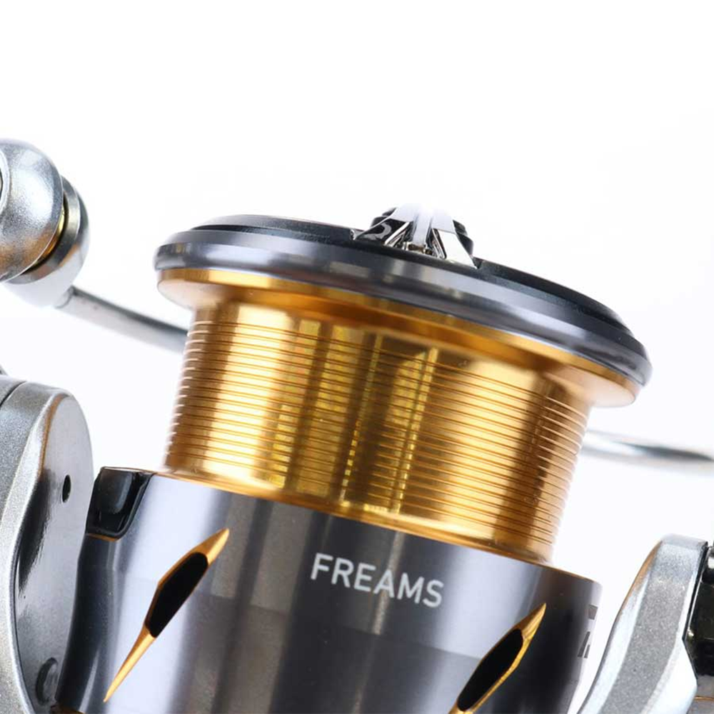 Daiwa Freams LT 21