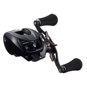 Daiwa 22 Zillion TW HD 1000 L casting