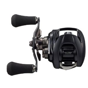 Daiwa 22 Zillion TW HD 1000 L casting