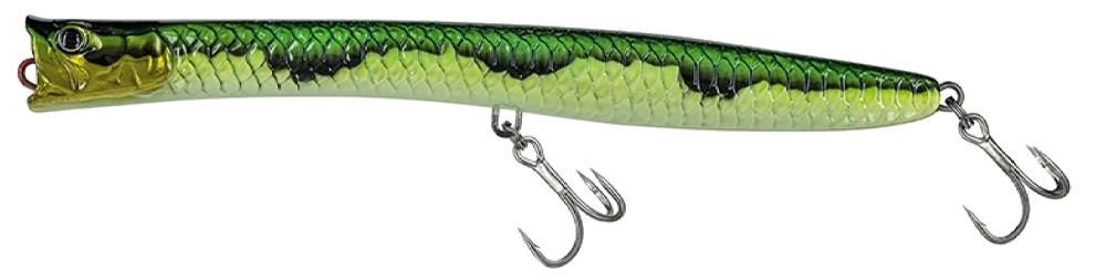 Molix Pencil Popper 200T