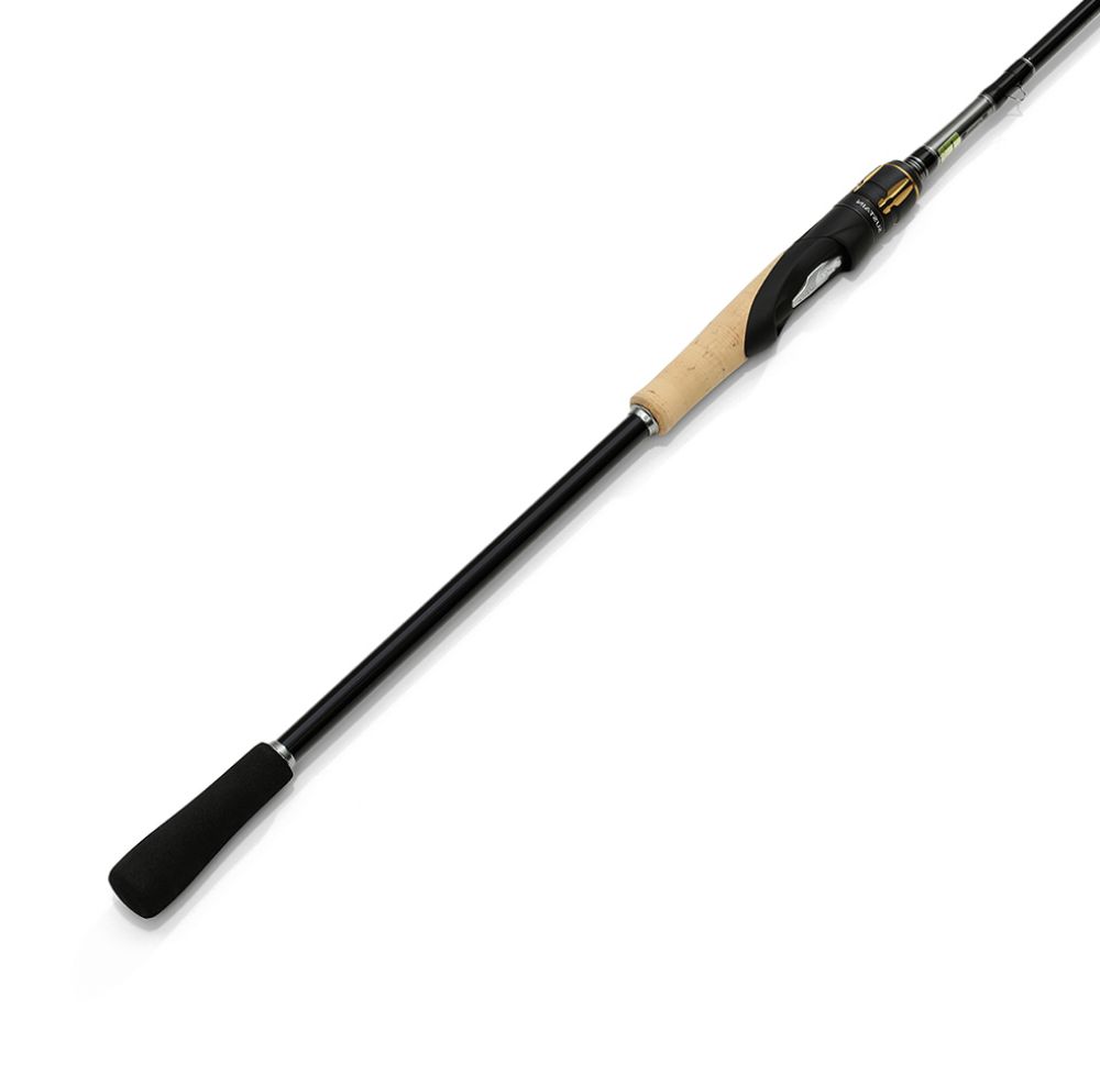 Shimano Sustain BX  spinning