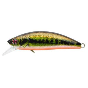 Sakura Phoxy Minnow HW