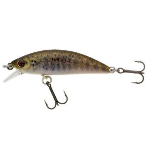 Sakura Phoxy Minnow HW