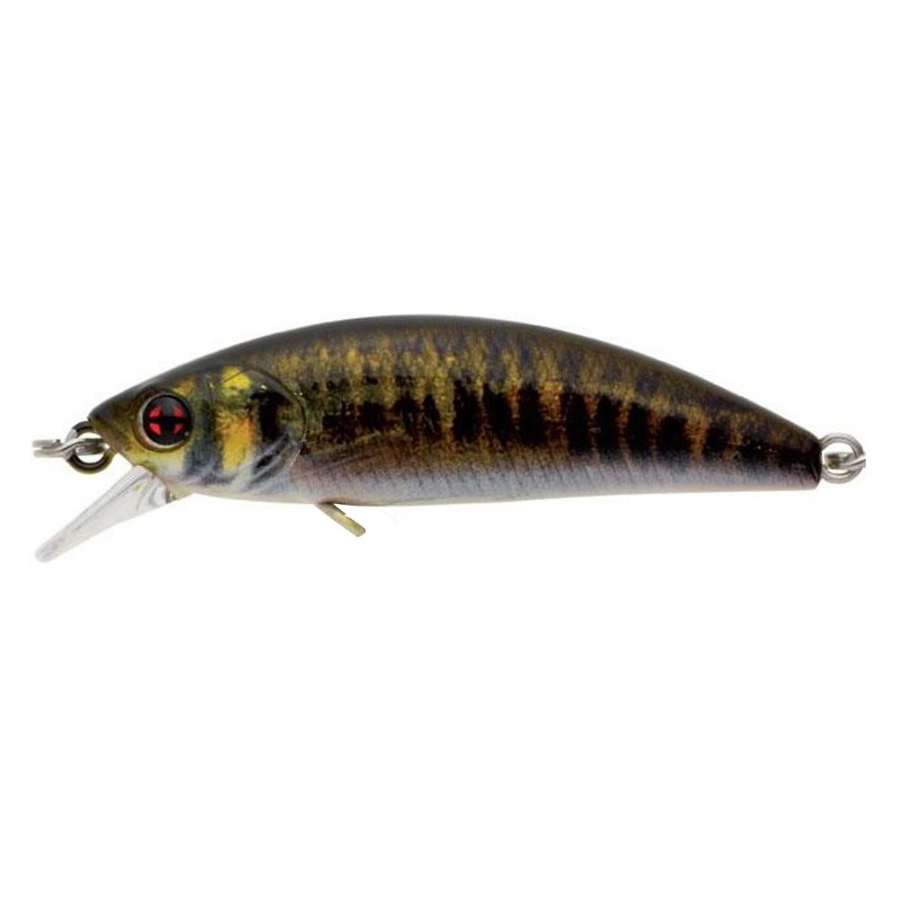 Sakura Phoxy Minnow HW