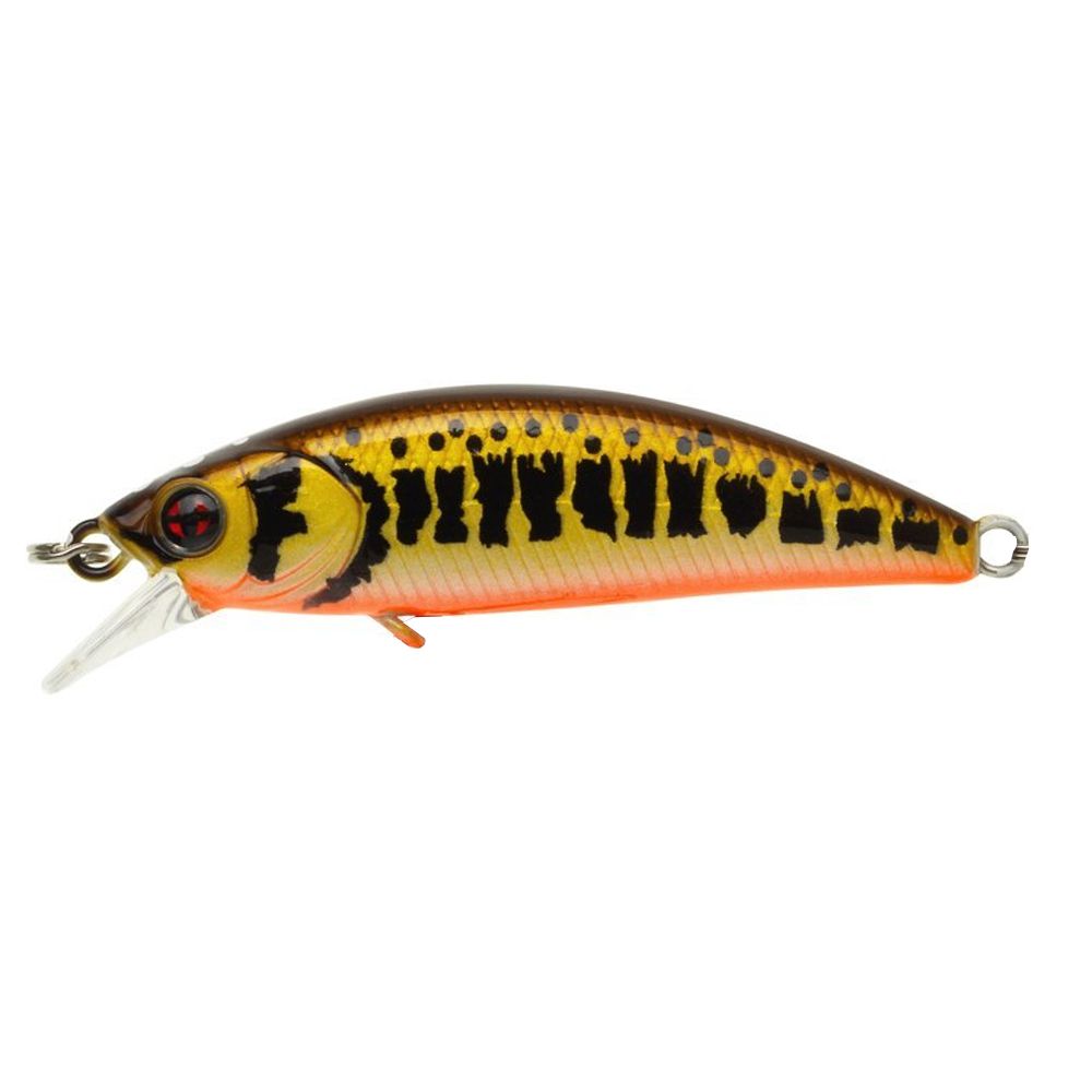 Sakura Phoxy Minnow HW