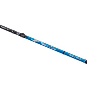 Favorite Blue Bird spinning