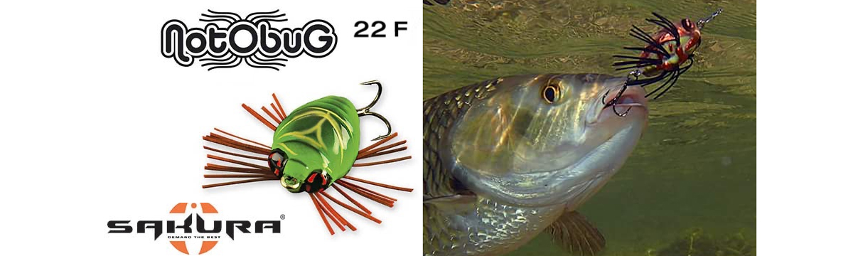 Immagine del prodotto Sakura Notobug